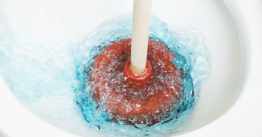 plunging toilet