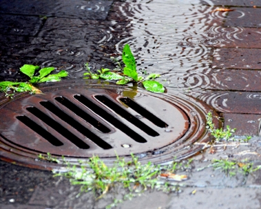 Storm Drain Services